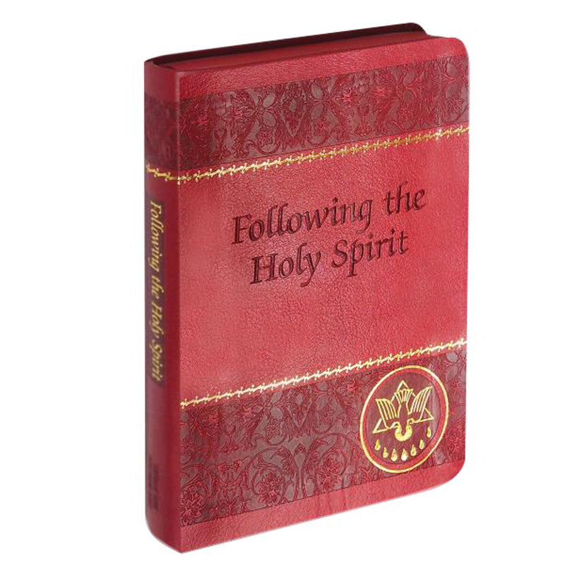 Following the Holy Spirit by Rev Walter Van De Putte