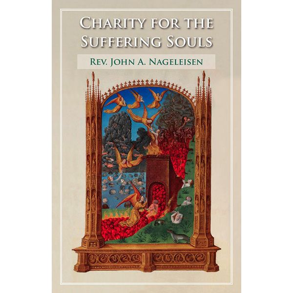 Charity for Suffering Souls by John A Nageleisen