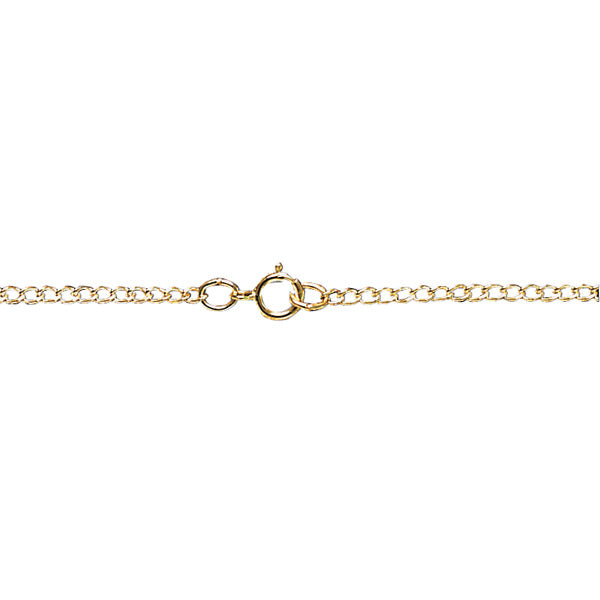 Gold Filled Chain with Clasp