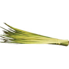 Palm Strips
