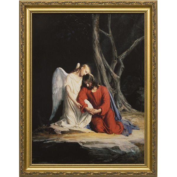 Jesus in the Garden Picture