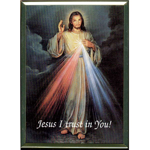 Divine Mercy Laminated Plaque