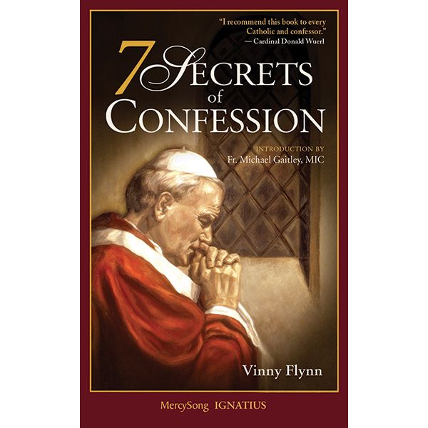 7 Secrets of Confession by Vinny Flynn