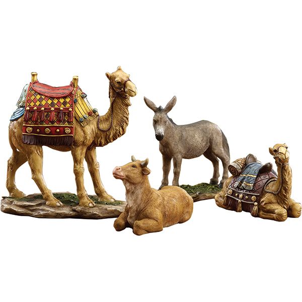 Real Life Nativity Animals