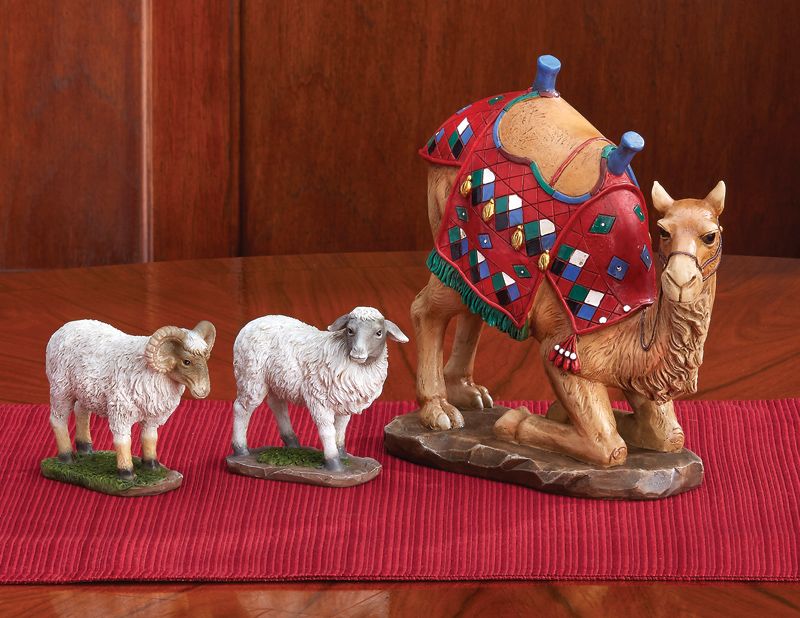 Camel and Awassi Sheep Set