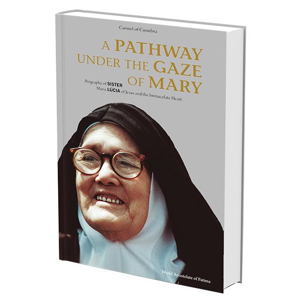 A Pathway Under the Gaze of Mary by Barbara Ernster