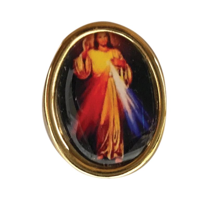 Divine Mercy Pray For Us Pin