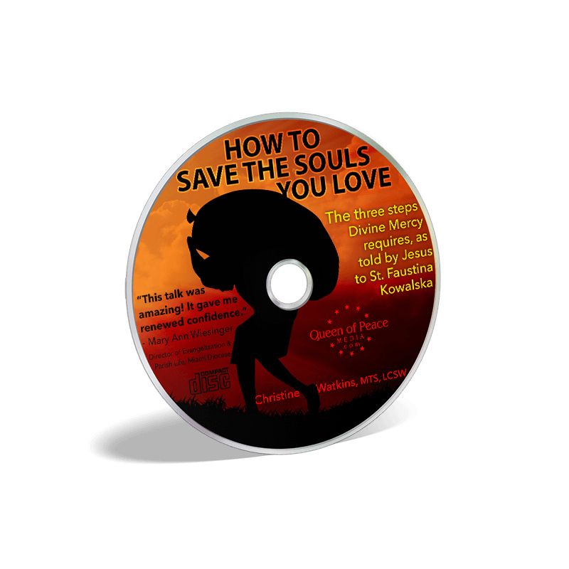How To Save The Souls You Love by Christine Watkins