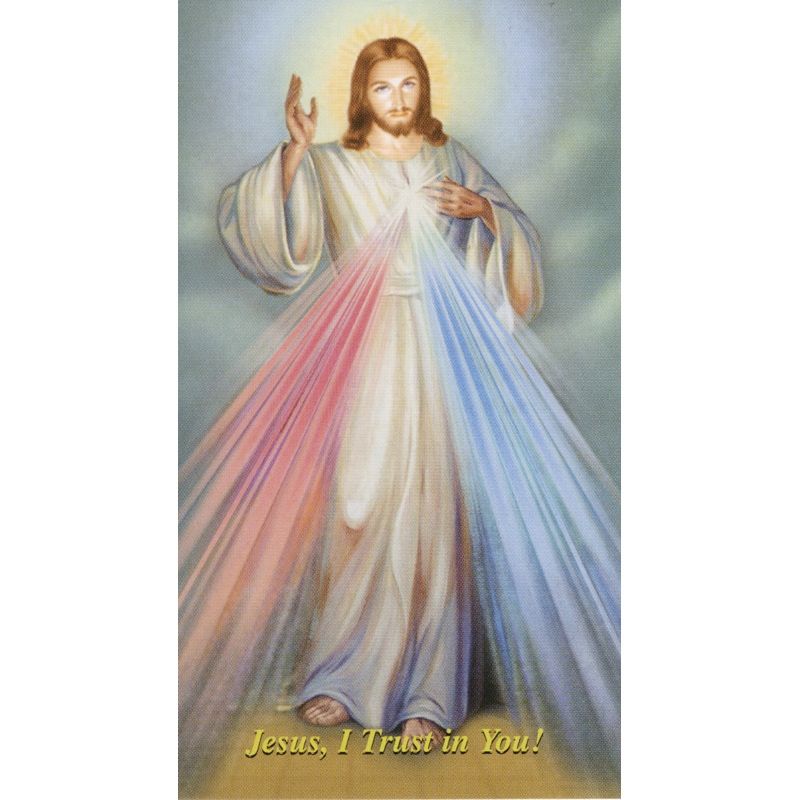 The Chaplet Of The Divine Mercy Holy Card