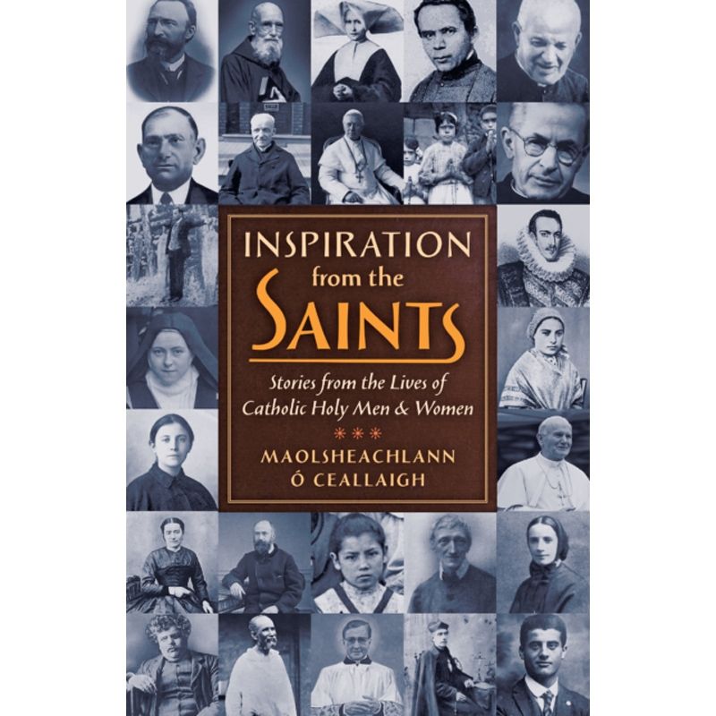 Inspiration From The Saints by Maolsheachlann O'Ceallaigh