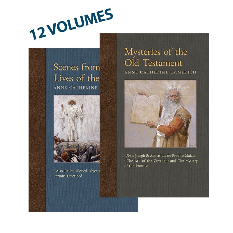 The New Light On Visions Of Anne Catherine Emmerich Series