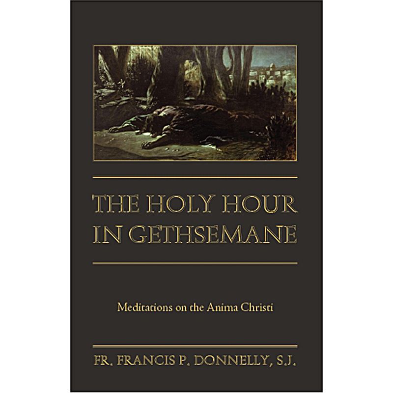 The Holy Hour in Gethsemane by Fr Francis P Donnelly