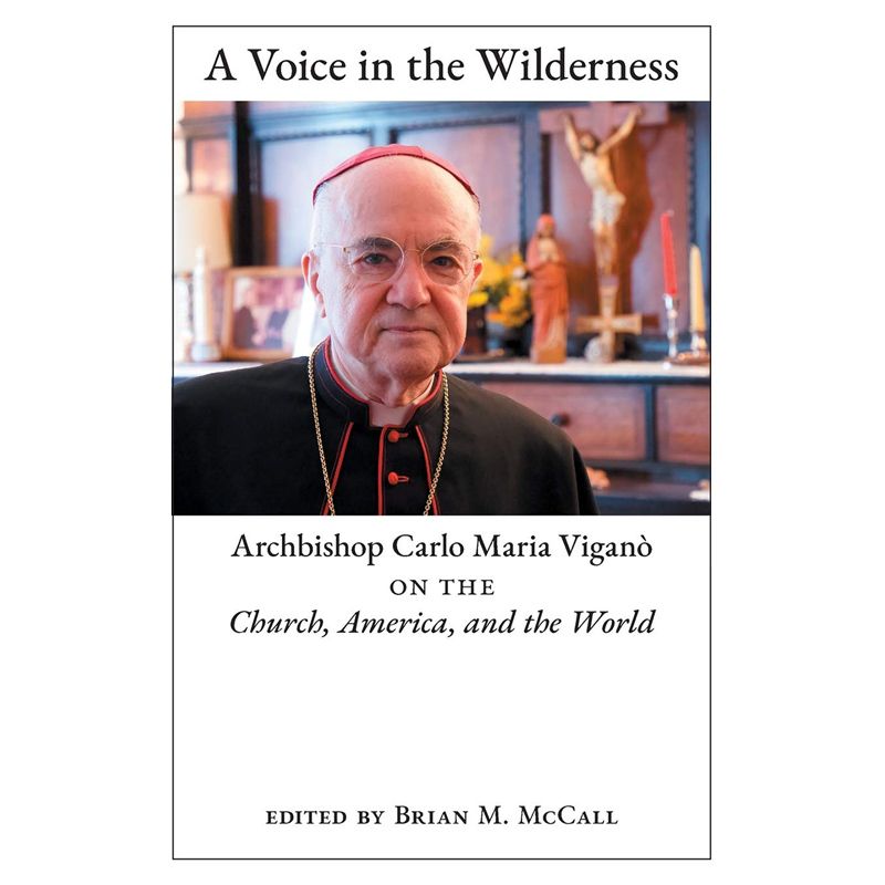 A Voice in the Wilderness by Brian McCall