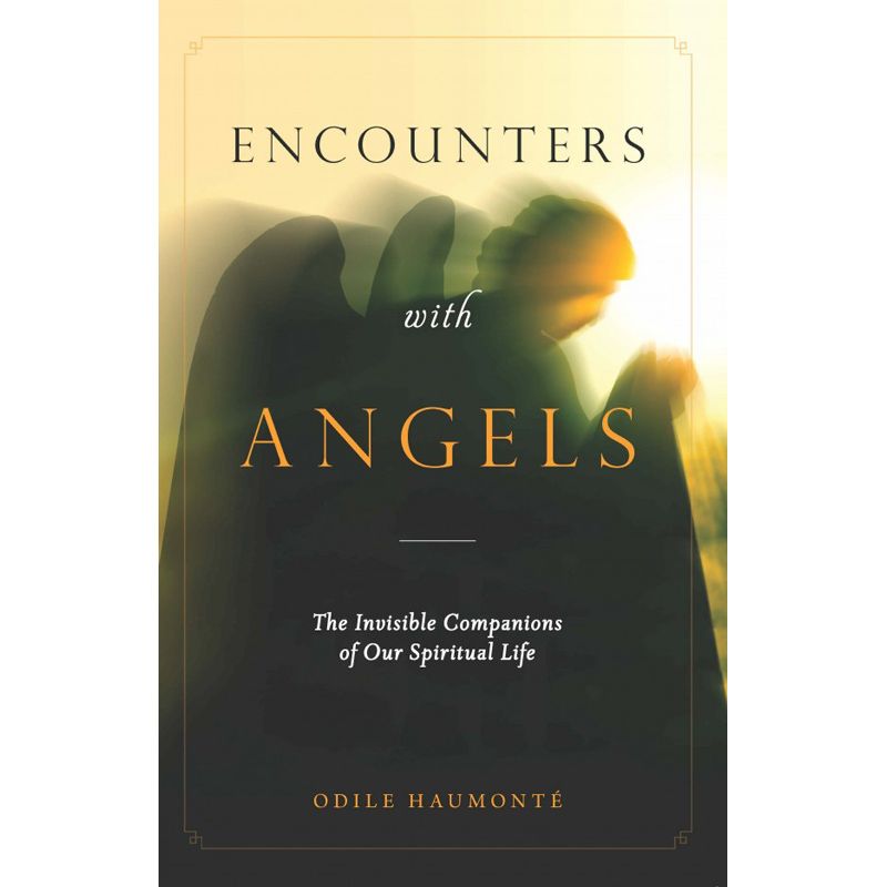 Encounters with Angels by Odile Haumonte