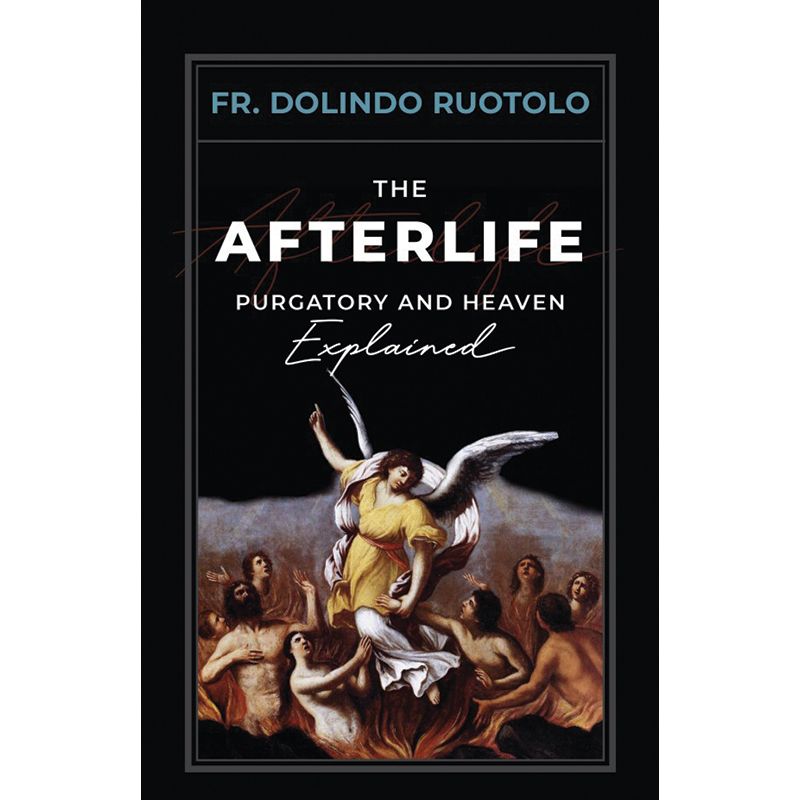 The Afterlife by Fr. Dolindo Ruotolo