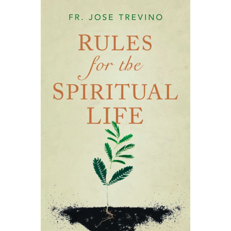 Rules for the Spiritual Life by Jose Guadalupe Trevino