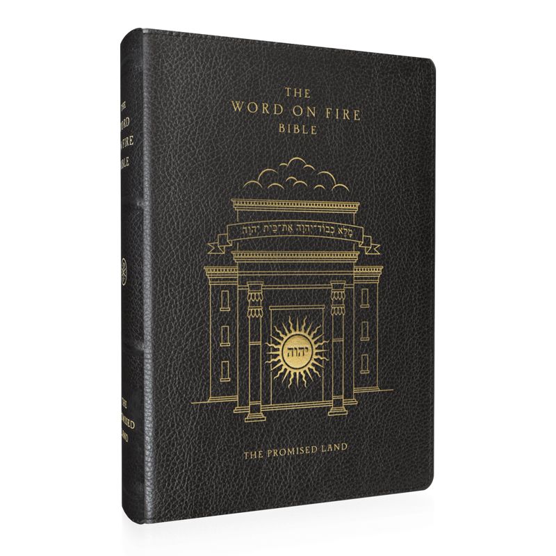 The Word on Fire Bible - Vol IV - The Promised Land