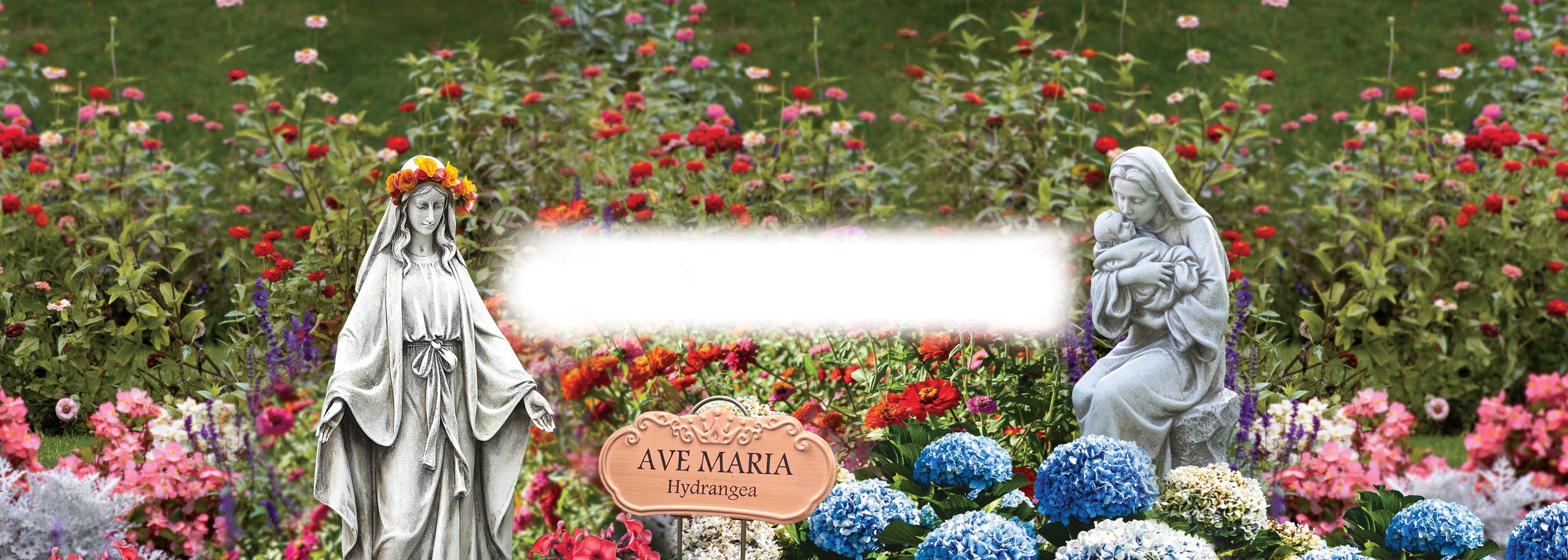 Plant a Mary Garden