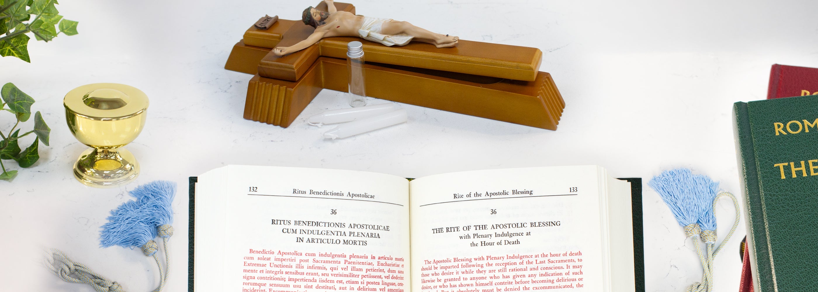 Holy Orders & Anointing of the Sick