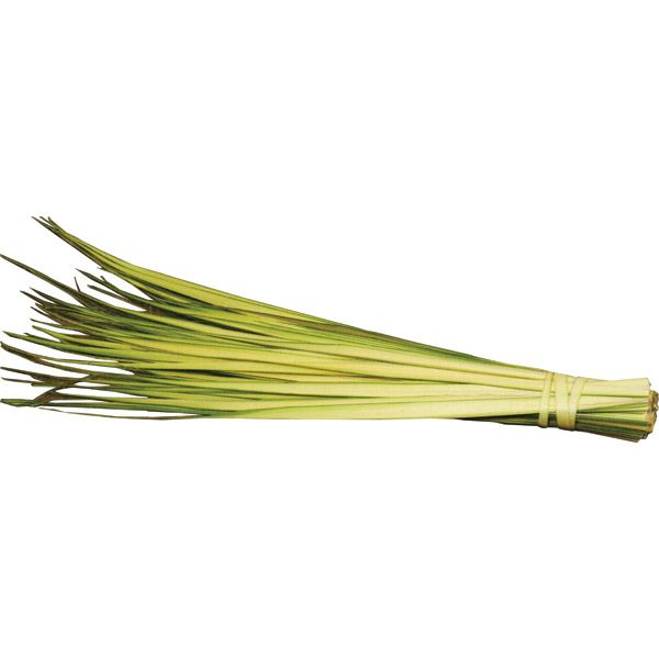 Palm Strips