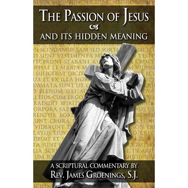 Passion of Jesus and its Hidden Meaning by James Groenings