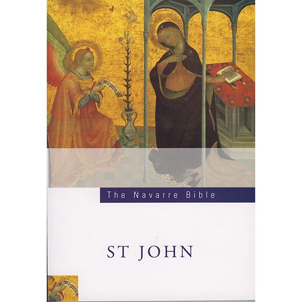 Navarre New Testament St John