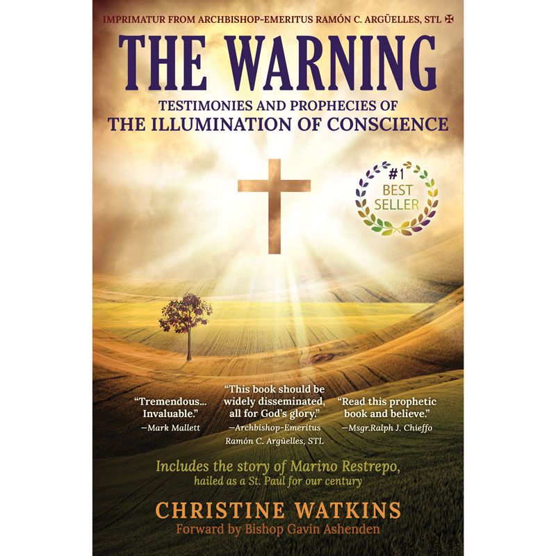 The Warning By Christine Watkins