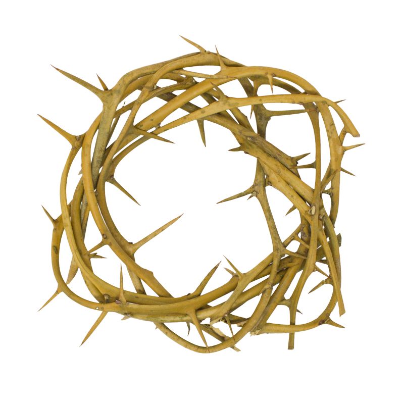 Crown of Thorns, 6 Inches – Catholic Home and Church